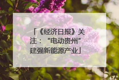 《经济日报》关注：“电动贵州”建强新能源产业