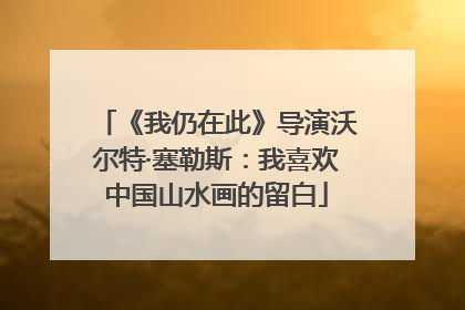 《我仍在此》导演沃尔特·塞勒斯：我喜欢中国山水画的留白