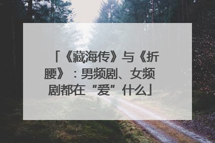 《藏海传》与《折腰》：男频剧、女频剧都在“爱”什么
