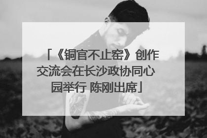 《铜官不止窑》创作交流会在长沙政协同心园举行 陈刚出席