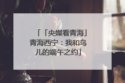「央媒看青海」青海西宁：我和鸟儿的端午之约