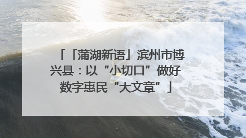 「蒲湖新语」滨州市博兴县：以“小切口”做好数字惠民“大文章”
