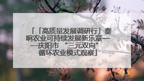 「高质量发展调研行」奏响农业可持续发展新乐章——庆阳市 “三元双向” 循环农业模式观察