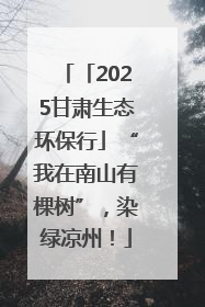 「2025甘肃生态环保行」“我在南山有棵树”，染绿凉州！