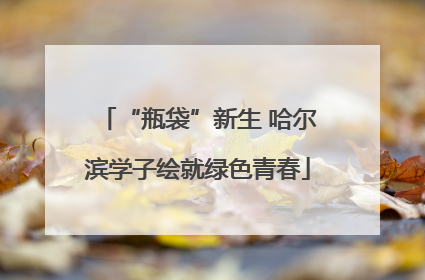 “瓶袋”新生 哈尔滨学子绘就绿色青春