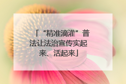 “精准滴灌”普法让法治宣传实起来、活起来