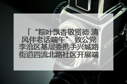 “粽叶飘香敬贤德 清风伴老话端午” 致公党李沧区基层委携手兴城路街道四流北路社区开展端午节主题活动