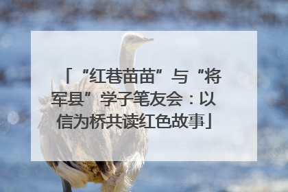 “红巷苗苗”与“将军县”学子笔友会：以信为桥共读红色故事