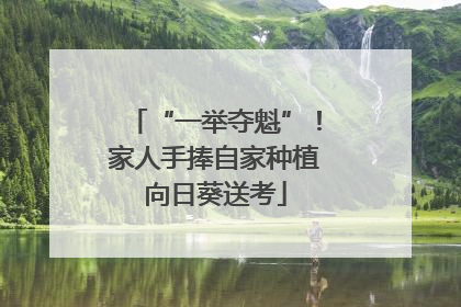 “一举夺魁”！家人手捧自家种植向日葵送考