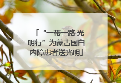 “一带一路·光明行”为蒙古国白内障患者送光明