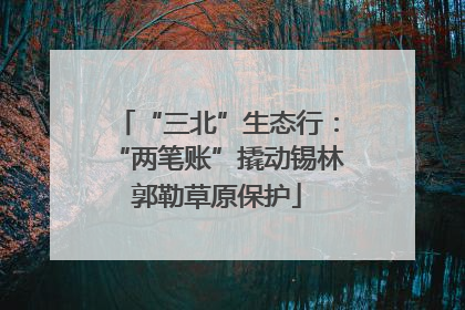 “三北”生态行：“两笔账”撬动锡林郭勒草原保护