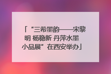 “三希墨韵——宋黎明 杨稳新 丹萍水墨小品展”在西安举办