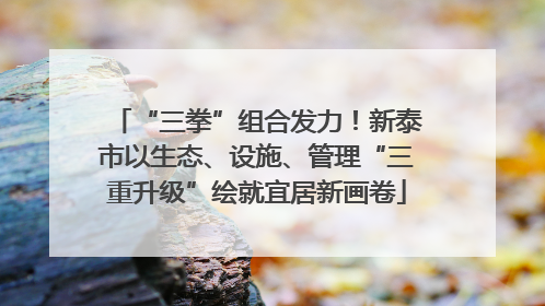 “三拳”组合发力！新泰市以生态、设施、管理“三重升级”绘就宜居新画卷