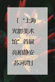 “上海光影美术馆”首展亮相静安苏河湾