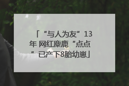“与人为友”13年 网红麋鹿“点点”已产下8胎幼崽