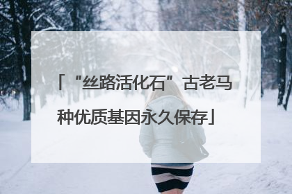 “丝路活化石”古老马种优质基因永久保存