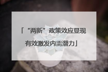 “两新”政策效应显现 有效激发内需潜力