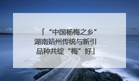 “中国杨梅之乡”湖南靖州传统与新引品种共绽“梅”好
