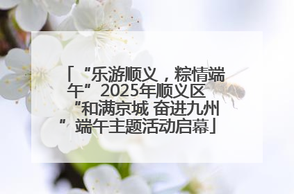 “乐游顺义，粽情端午”2025年顺义区“和满京城 奋进九州”端午主题活动启幕