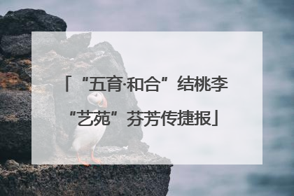 “五育·和合”结桃李 “艺苑”芬芳传捷报