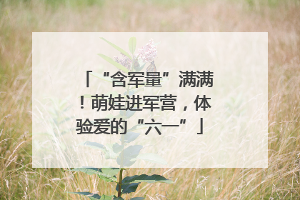 “含军量”满满！萌娃进军营，体验爱的“六一”