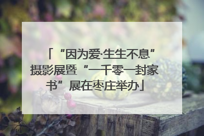 “因为爱·生生不息”摄影展暨“一千零一封家书”展在枣庄举办