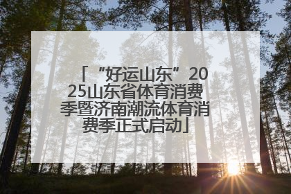 “好运山东”2025山东省体育消费季暨济南潮流体育消费季正式启动