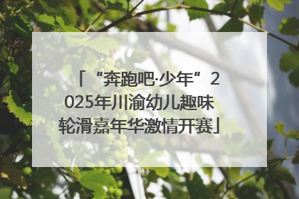 “奔跑吧·少年”2025年川渝幼儿趣味轮滑嘉年华激情开赛