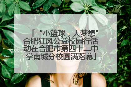“小篮球，大梦想”合肥狂风公益校园行活动在合肥市第四十二中学南城分校圆满落幕