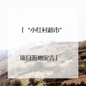 “小红村超市”项目落地安吉