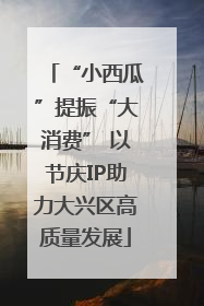 “小西瓜”提振“大消费” 以节庆IP助力大兴区高质量发展