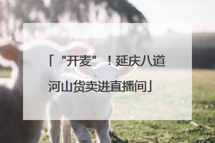 “开麦”！延庆八道河山货卖进直播间