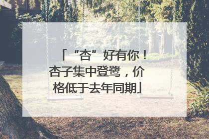 “杏”好有你！杏子集中登鹭，价格低于去年同期