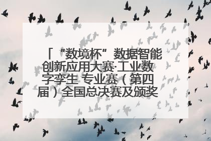 “数境杯”数据智能创新应用大赛·工业数字孪生 专业赛（第四届）全国总决赛及颁奖典礼成功举办