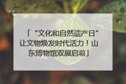 “文化和自然遗产日”让文物焕发时代活力！山东博物馆双展启幕