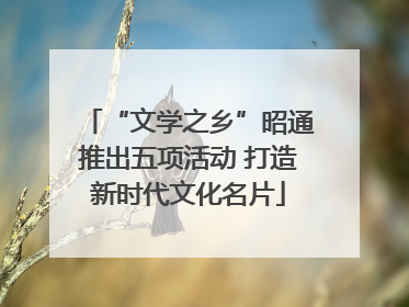 “文学之乡”昭通推出五项活动 打造新时代文化名片