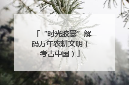 “时光胶囊”解码万年农耕文明（考古中国）