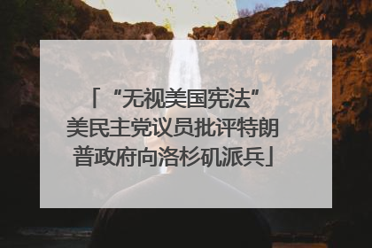 “无视美国宪法” 美民主党议员批评特朗普政府向洛杉矶派兵