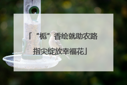 “栀”香绘就助农路 指尖绽放幸福花