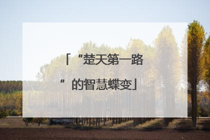 “楚天第一路”的智慧蝶变