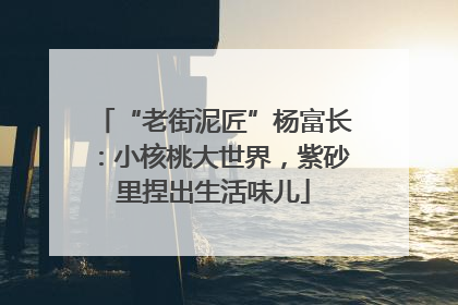 “老街泥匠”杨富长：小核桃大世界，紫砂里捏出生活味儿