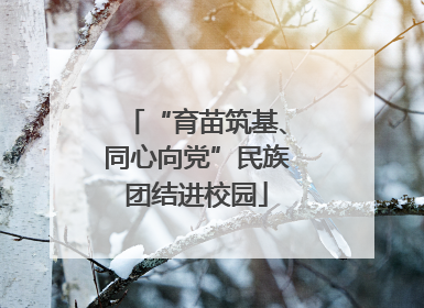 “育苗筑基、同心向党”民族团结进校园