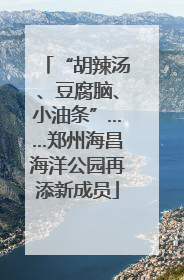 “胡辣汤、豆腐脑、小油条”……郑州海昌海洋公园再添新成员