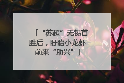 “苏超”无锡首胜后，盱眙小龙虾前来“助兴”