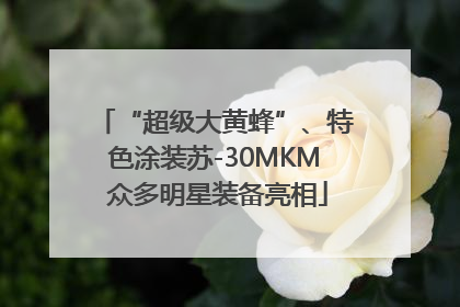 “超级大黄蜂”、特色涂装苏-30MKM 众多明星装备亮相