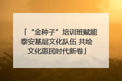 “金种子”培训班赋能泰安基层文化队伍 共绘文化惠民时代新卷