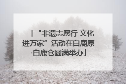“非遗志愿行 文化进万家”活动在白鹿原·白鹿仓圆满举办