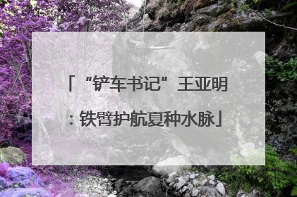 “铲车书记”王亚明：铁臂护航夏种水脉