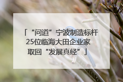 “问道”宁波制造标杆 25位临海大田企业家取回“发展真经”