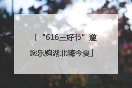 “616三好节”邀您乐购湖北嗨今夏